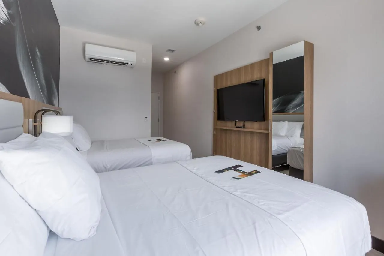 ***  Hotel Ninety Five - Jfk Airport New York Stati Uniti